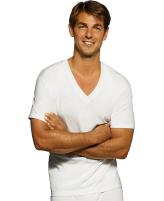 Hanes Men's TAGLESS® V-Neck T-Shirt 5-Pack