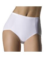 Bali Passion for Comfort Tailored Light Control Brief 2 Pack