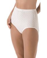 Hanes Cotton Briefs Style