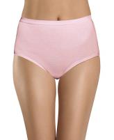 Hanes Classics Assorted Brief