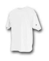 Champion Men's Heritage Tee